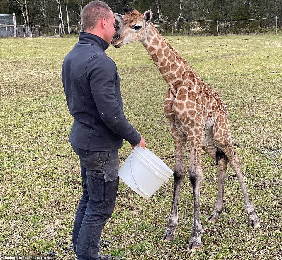 Wildlife Rescue